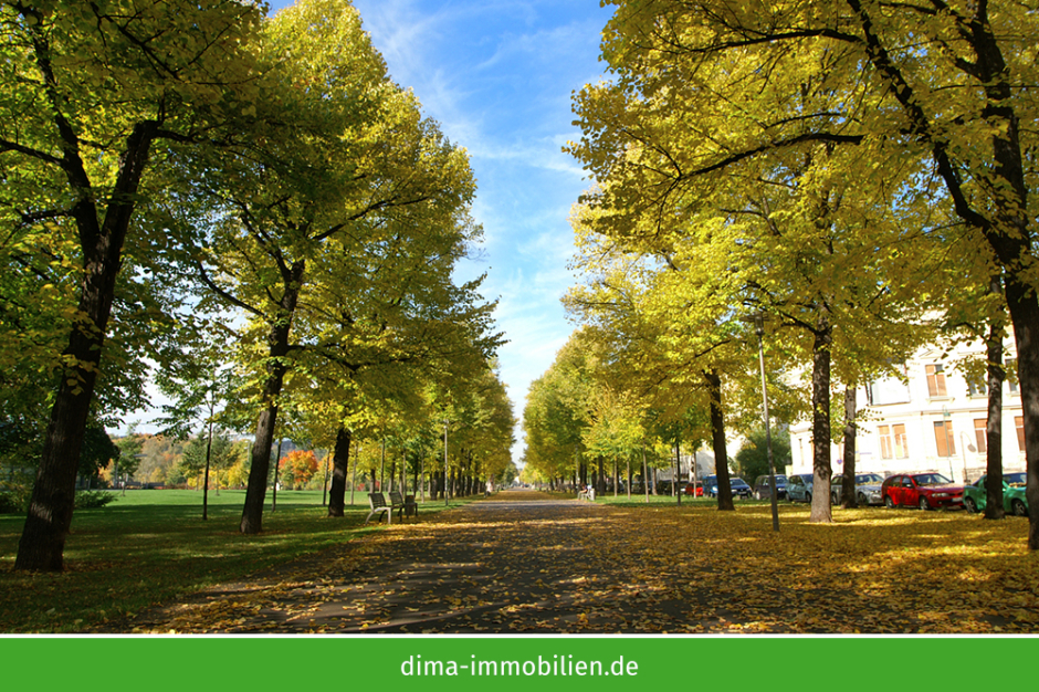 Umgebung - Allee vor Arena