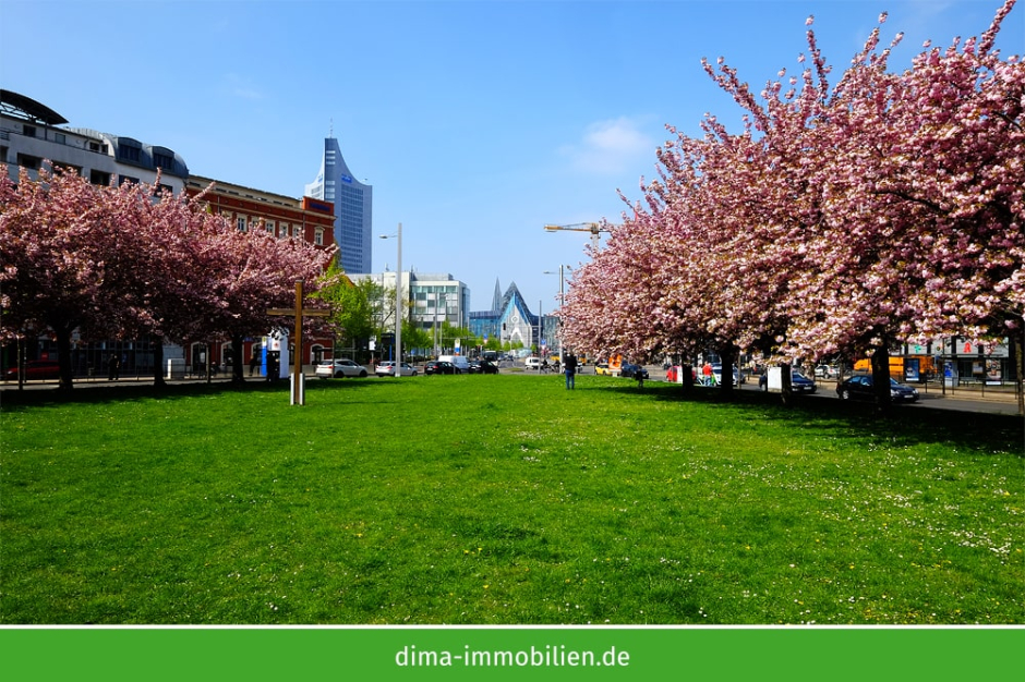 Umgebung - Grassimuseum