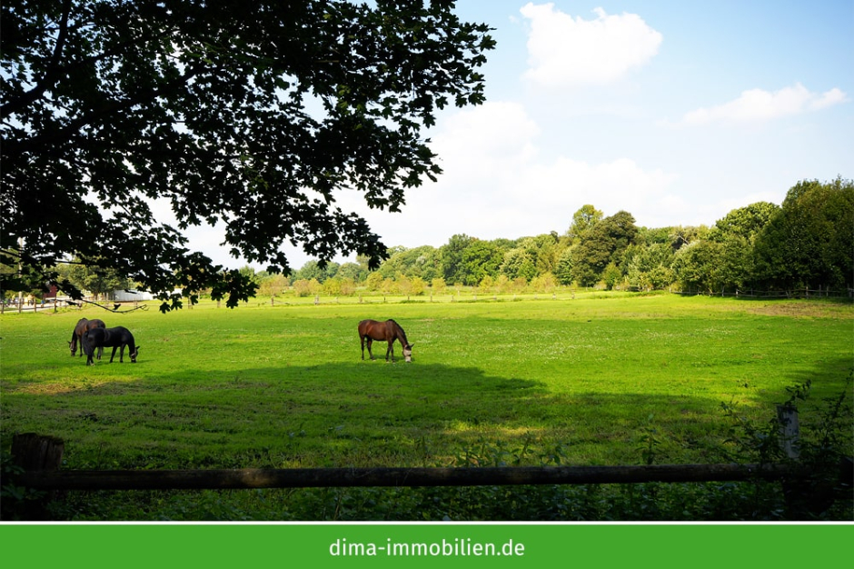 Umgebung