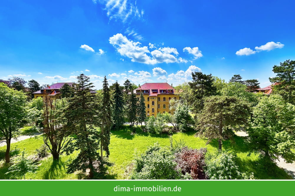 _620059.jpg