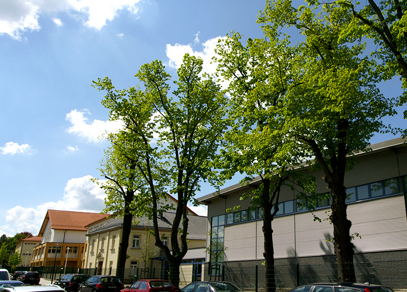 Rudolf-Hildebrand-Schule