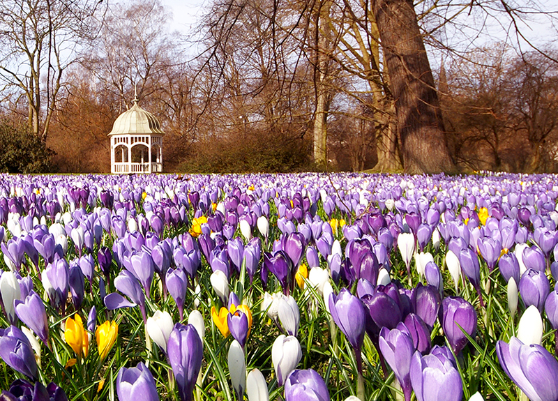 Clara-Zetkin-Park